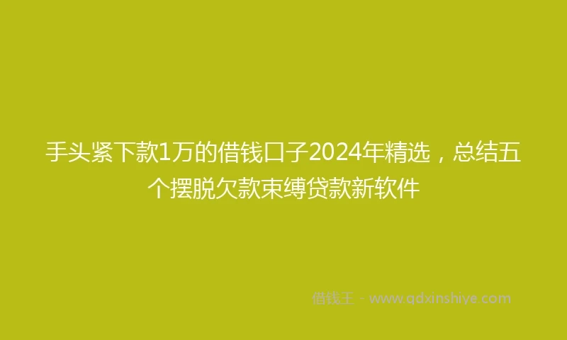 手头紧下款1万的借钱口子2024年精选，总结五个摆脱欠款束缚贷款新软件