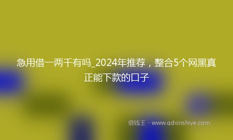 急用借一两千有吗_2024年推荐，整合5个网黑真正能下款的口子