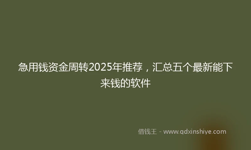 急用钱资金周转2025年推荐，汇总五个最新能下来钱的软件