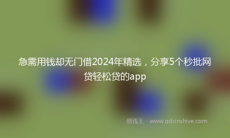 急需用钱却无门借2024年精选，分享5个秒批网贷轻松贷的app