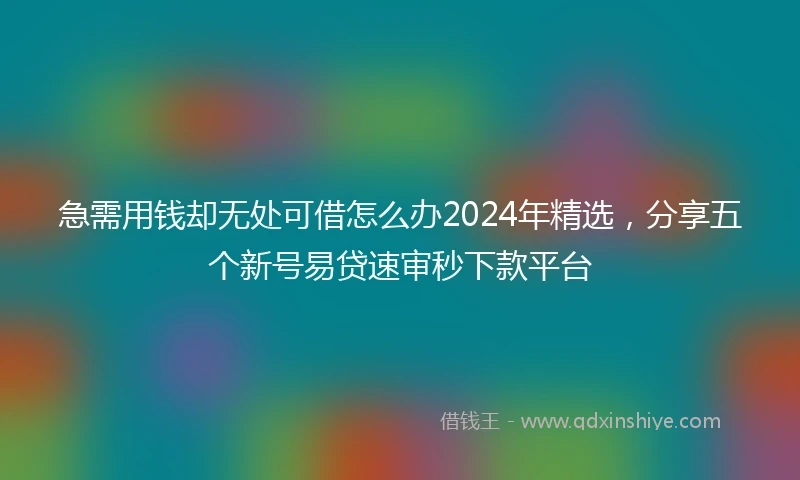 急需用钱却无处可借怎么办2024年精选，分享五个新号易贷速审秒下款平台