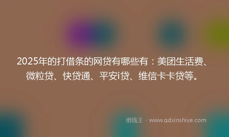 2025年的打借条的网贷有哪些有：美团生活费、微粒贷、快贷通、平安i贷、维信卡卡贷等。