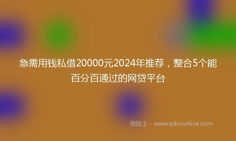 急需用钱私借20000元2024年推荐，整合5个能百分百通过的网贷平台