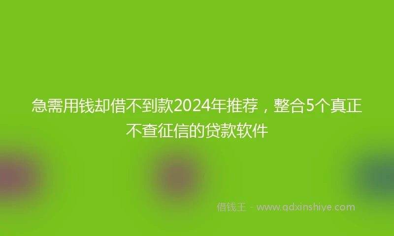 急需用钱却借不到款2024年推荐，整合5个真正不查征信的贷款软件
