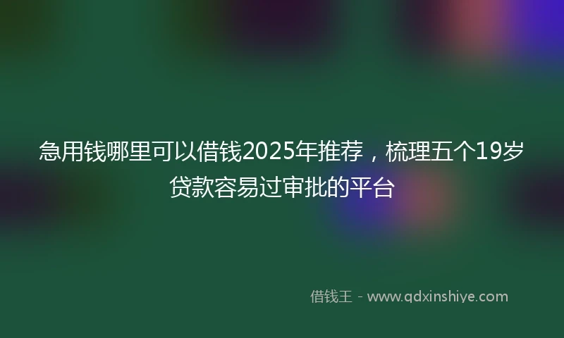 急用钱哪里可以借钱2025年推荐，梳理五个19岁贷款容易过审批的平台