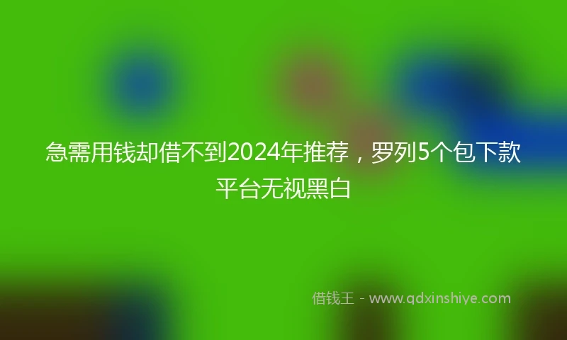急需用钱却借不到2024年推荐，罗列5个包下款平台无视黑白