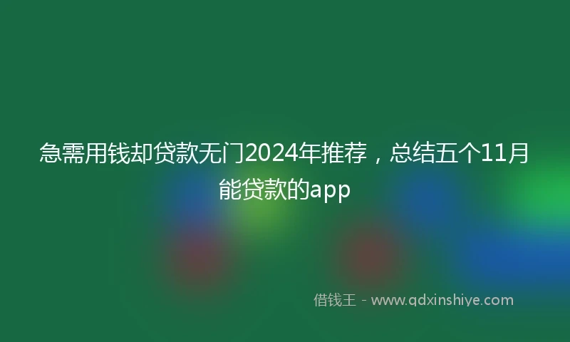 急需用钱却贷款无门2024年推荐，总结五个11月能贷款的app
