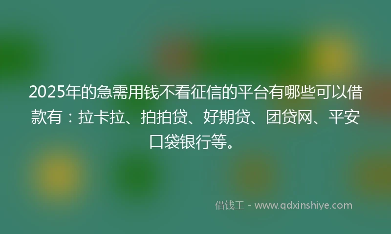 2025年的急需用钱不看征信的平台有哪些可以借款有：拉卡拉、拍拍贷、好期贷、团贷网、平安口袋银行等。