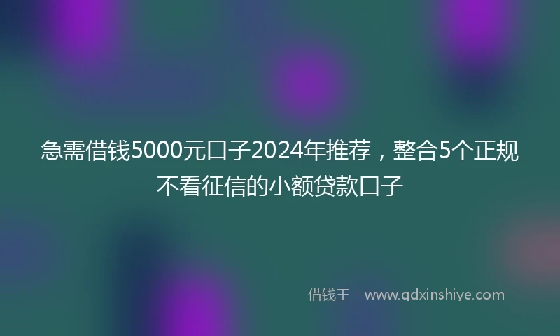 急需借钱5000元口子2024年推荐，整合5个正规不看征信的小额贷款口子