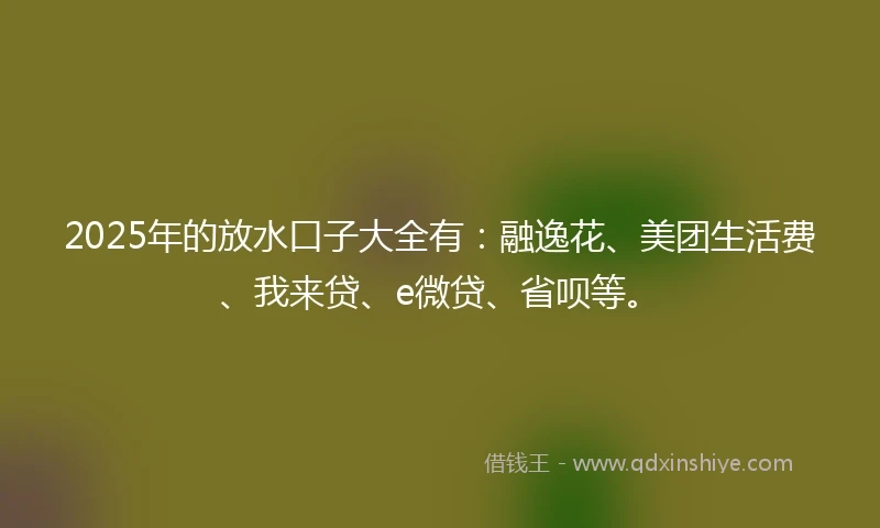 2025年的放水口子大全有：融逸花、美团生活费、我来贷、e微贷、省呗等。