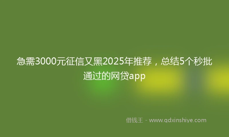 急需3000元征信又黑2025年推荐，总结5个秒批通过的网贷app
