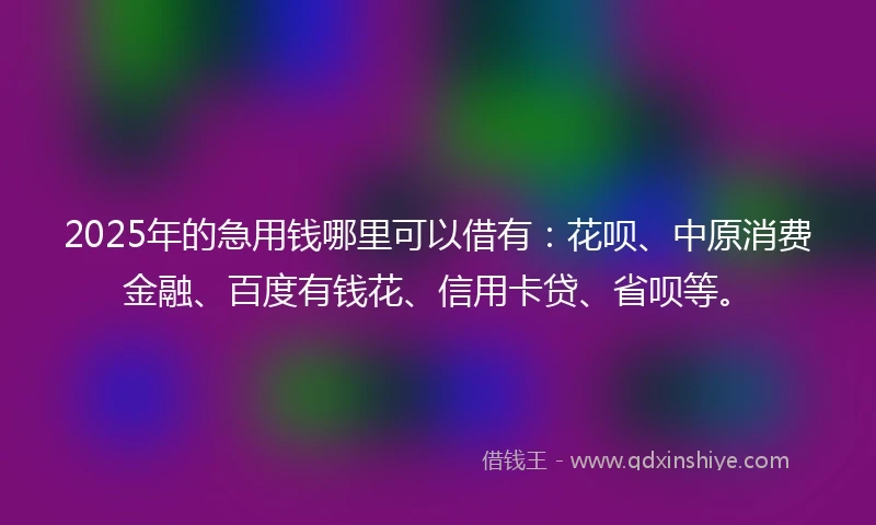 2025年的急用钱哪里可以借有：花呗、中原消费金融、百度有钱花、信用卡贷、省呗等。