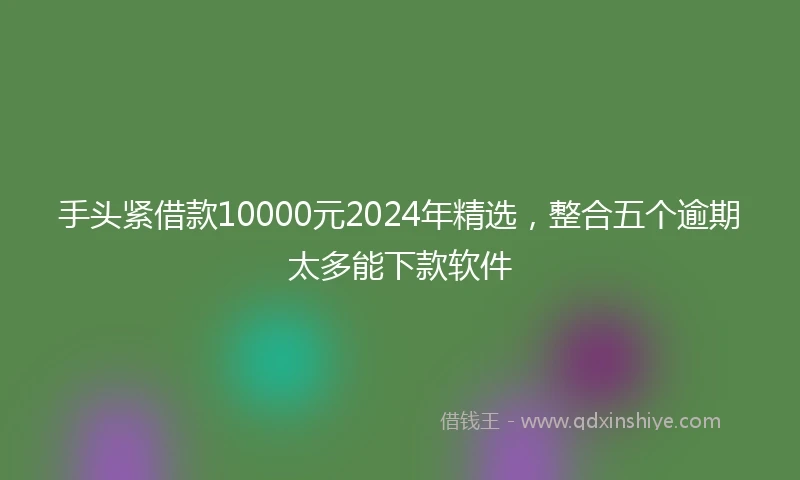 手头紧借款10000元2024年精选，整合五个逾期太多能下款软件