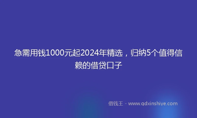 急需用钱1000元起2024年精选，归纳5个值得信赖的借贷口子
