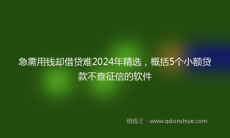 急需用钱却借贷难2024年精选，概括5个小额贷款不查征信的软件