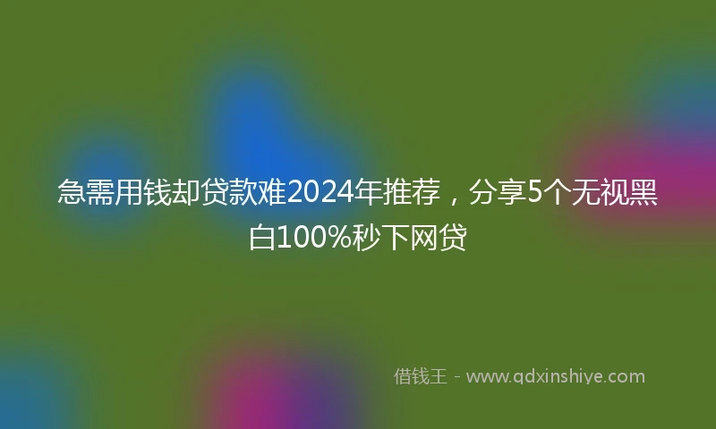 急需用钱却贷款难2024年推荐，分享5个无视黑白100%秒下网贷