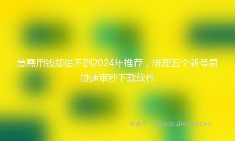 急需用钱却借不到2024年推荐，梳理五个新号易贷速审秒下款软件