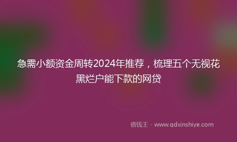 急需小额资金周转2024年推荐，梳理五个无视花黑烂户能下款的网贷