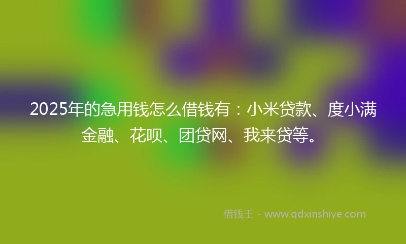 2025年的急用钱怎么借钱有：小米贷款、度小满金融、花呗、团贷网、我来贷等。