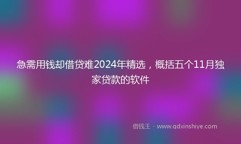 急需用钱却借贷难2024年精选，概括五个11月独家贷款的软件