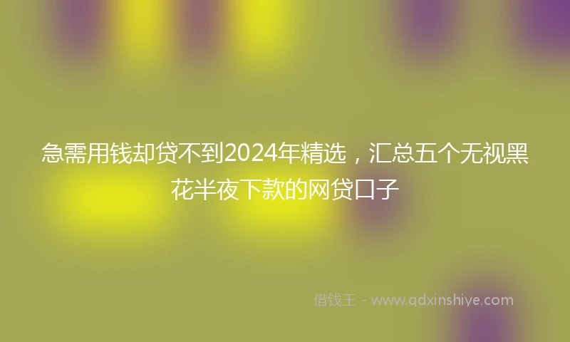 急需用钱却贷不到2024年精选，汇总五个无视黑花半夜下款的网贷口子
