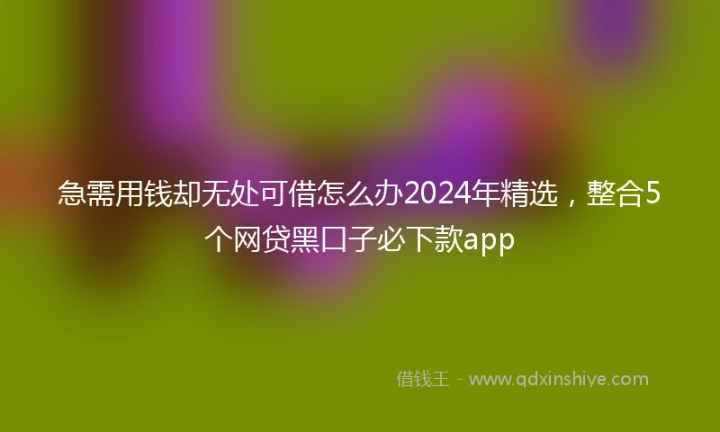 急需用钱却无处可借怎么办2024年精选，整合5个网贷黑口子必下款app