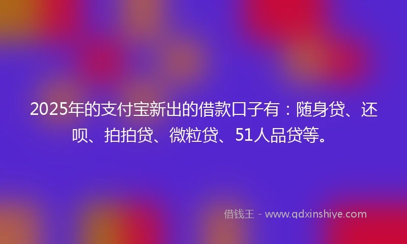 2025年的支付宝新出的借款口子有：随身贷、还呗、拍拍贷、微粒贷、51人品贷等。