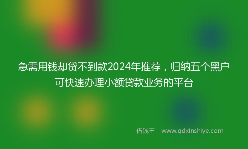 急需用钱却贷不到款2024年推荐，归纳五个黑户可快速办理小额贷款业务的平台