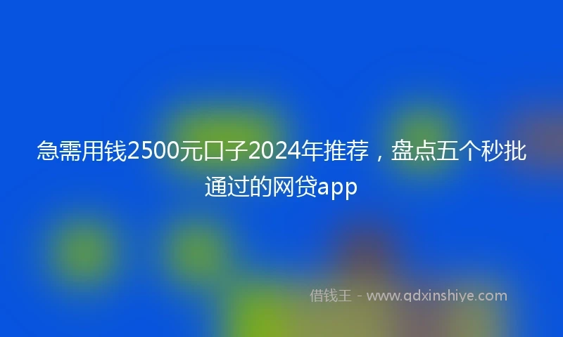 急需用钱2500元口子2024年推荐，盘点五个秒批通过的网贷app