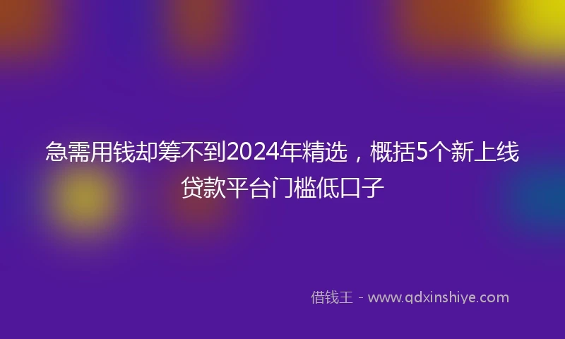 急需用钱却筹不到2024年精选，概括5个新上线贷款平台门槛低口子