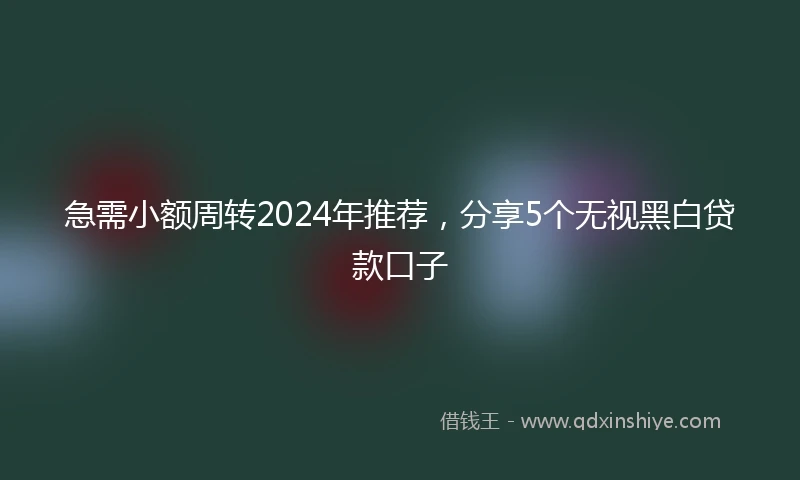 急需小额周转2024年推荐，分享5个无视黑白贷款口子