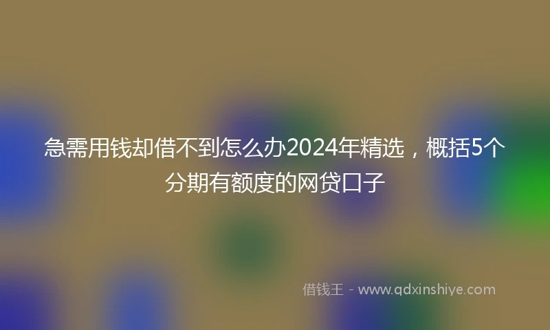急需用钱却借不到怎么办2024年精选，概括5个分期有额度的网贷口子