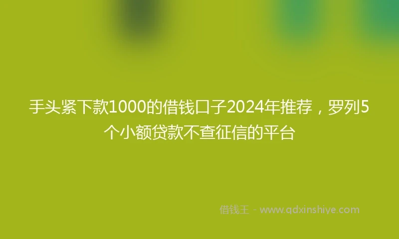 手头紧下款1000的借钱口子2024年推荐,罗列5个小额贷款不查征信的平台