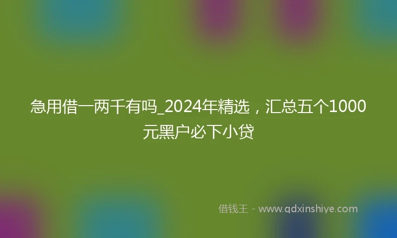 急用借一两千有吗_2024年精选，汇总五个1000元黑户必下小贷