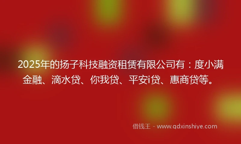 2025年的扬子科技融资租赁有限公司有:度小满金融、滴水贷、你我贷、平安i贷、惠商贷等。