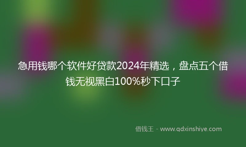 急用钱哪个软件好贷款2024年精选，盘点五个借钱无视黑白100%秒下口子