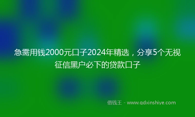 急需用钱2000元口子2024年精选，分享5个无视征信黑户必下的贷款口子