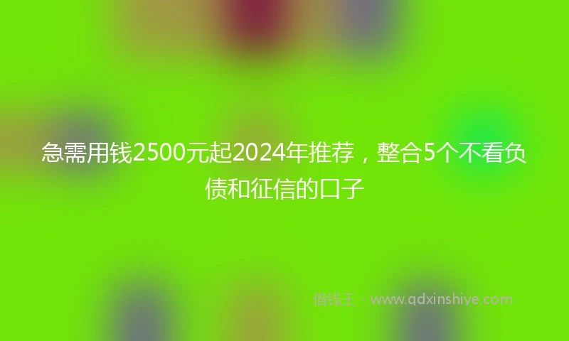 急需用钱2500元起2024年推荐，整合5个不看负债和征信的口子