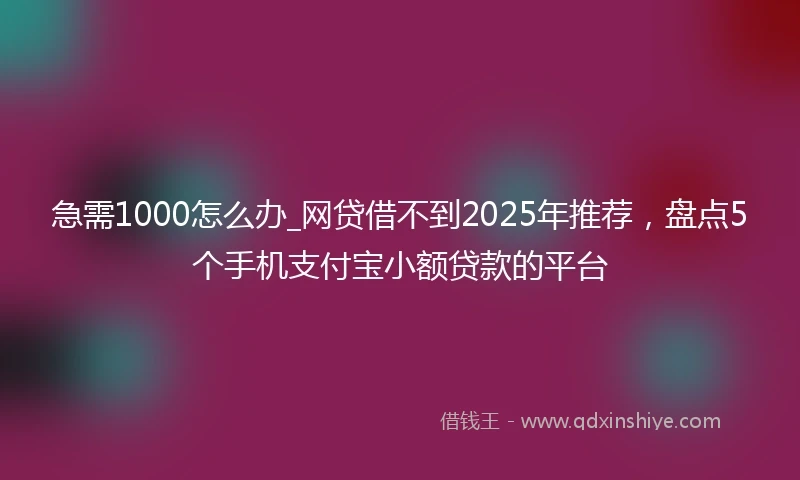 急需1000怎么办_网贷借不到2025年推荐，盘点5个手机支付宝小额贷款的平台