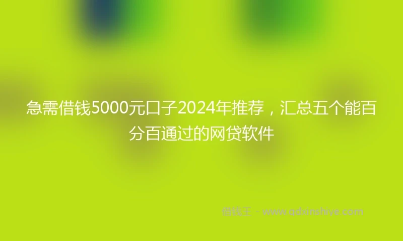 急需借钱5000元口子2024年推荐，汇总五个能百分百通过的网贷软件