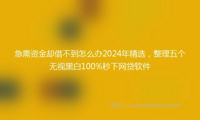 急需资金却借不到怎么办2024年精选，整理五个无视黑白100%秒下网贷软件