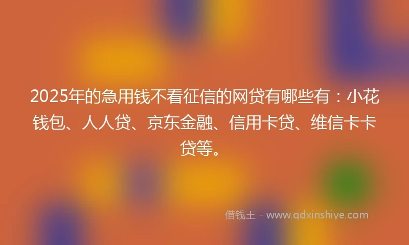 2025年的急用钱不看征信的网贷有哪些有：小花钱包、人人贷、京东金融、信用卡贷、维信卡卡贷等。