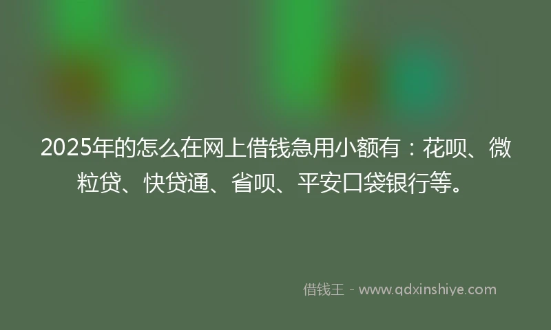 2025年的怎么在网上借钱急用小额有：花呗、微粒贷、快贷通、省呗、平安口袋银行等。