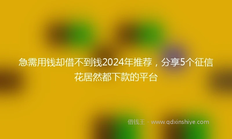 急需用钱却借不到钱2024年推荐，分享5个征信花居然都下款的平台