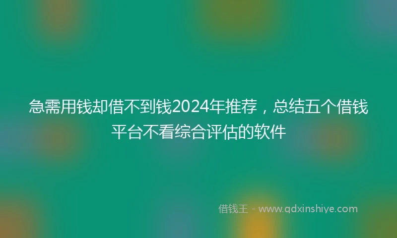 急需用钱却借不到钱2024年推荐，总结五个借钱平台不看综合评估的软件