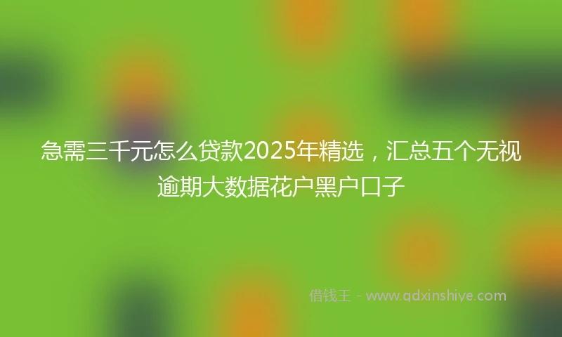 急需三千元怎么贷款2025年精选，汇总五个无视逾期大数据花户黑户口子