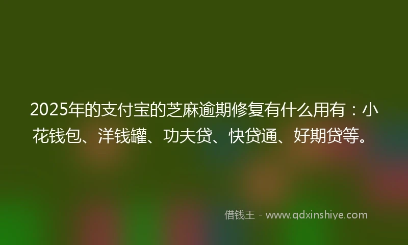 2025年的支付宝的芝麻逾期修复有什么用有：小花钱包、洋钱罐、功夫贷、快贷通、好期贷等。