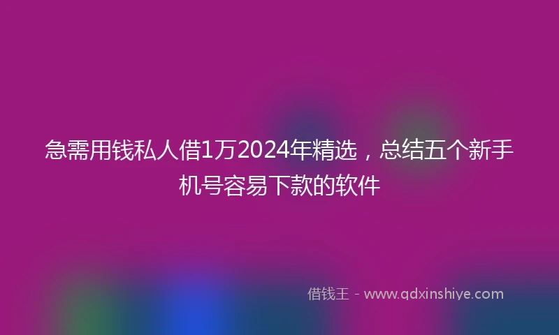 急需用钱私人借1万2024年精选，总结五个新手机号容易下款的软件