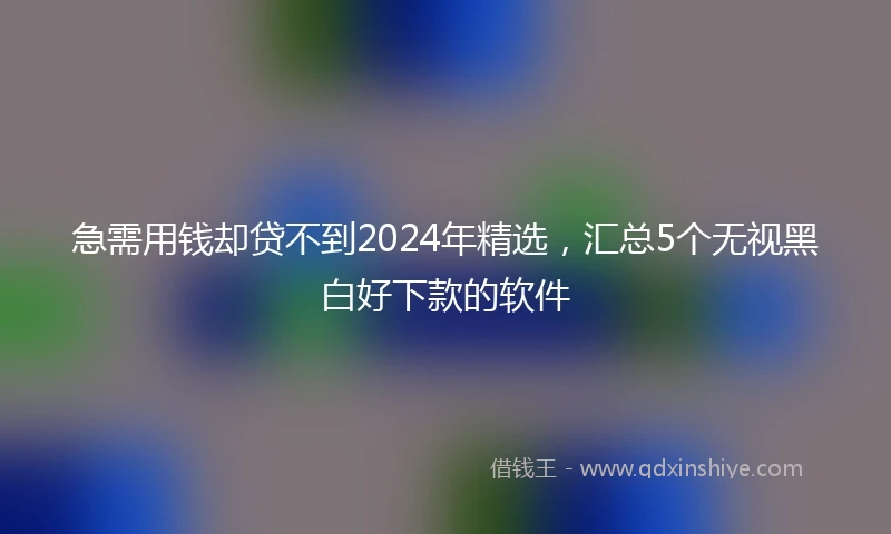 急需用钱却贷不到2024年精选，汇总5个无视黑白好下款的软件