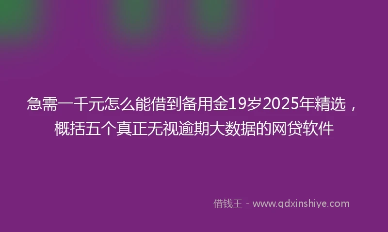 急需一千元怎么能借到备用金19岁2025年精选，概括五个真正无视逾期大数据的网贷软件